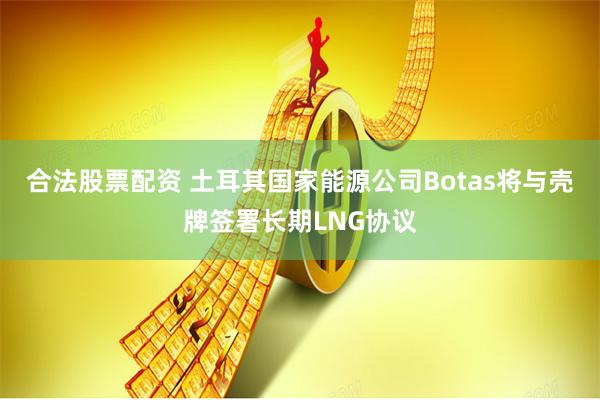 合法股票配资 土耳其国家能源公司Botas将与壳牌签署长期LNG协议