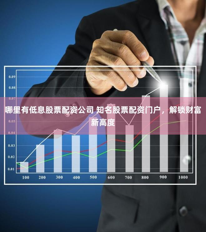 哪里有低息股票配资公司 知名股票配资门户，解锁财富新高度
